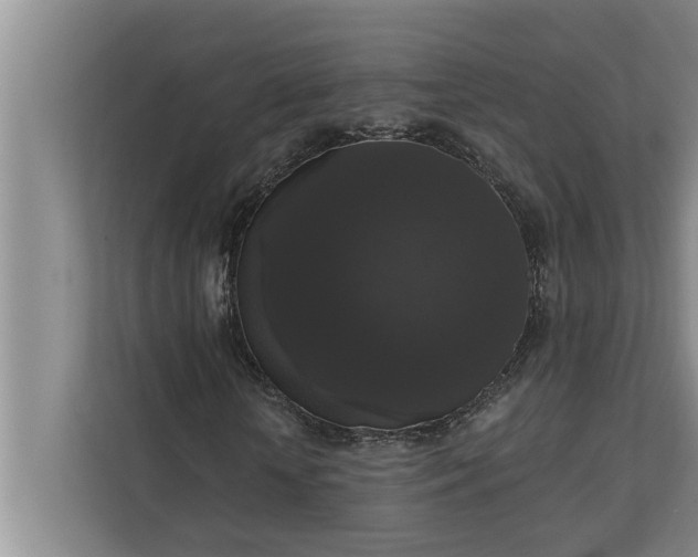 X0000112350818200908271231