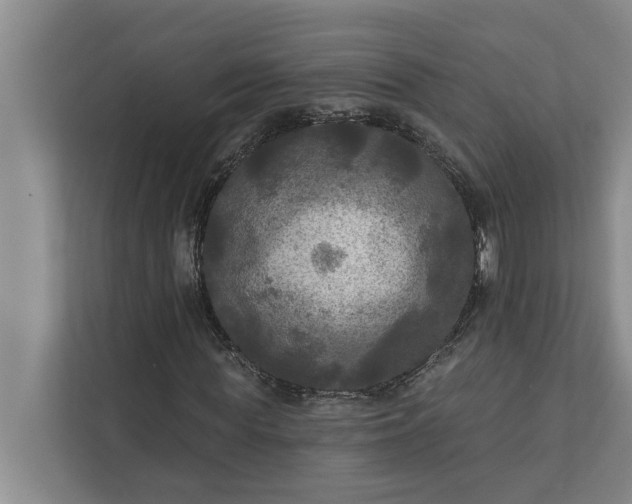 X0000112350819200908271231