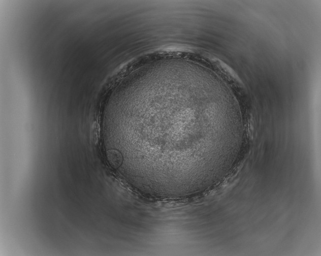 X0000112350821200908271231