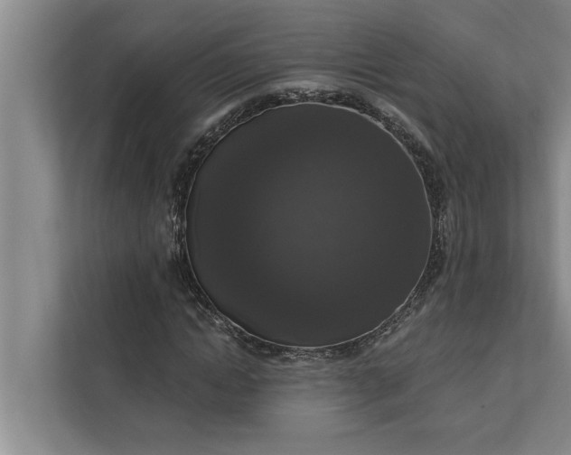 X0000112350822200908271231