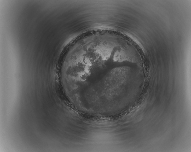 X0000112350823200908271231