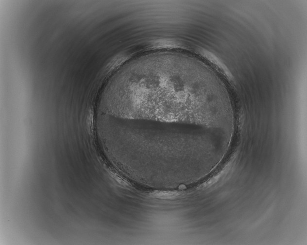 X0000112350825200908271231