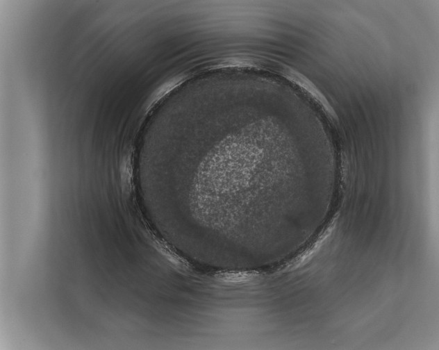 X0000112350826200908271231