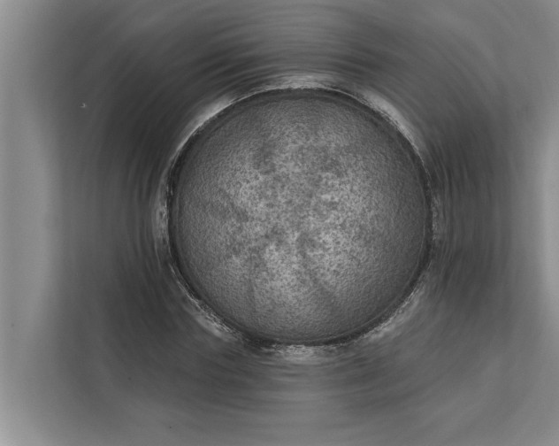 X0000112350827200908271231