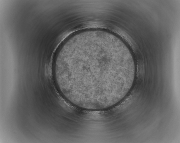 X0000112350828200908271231