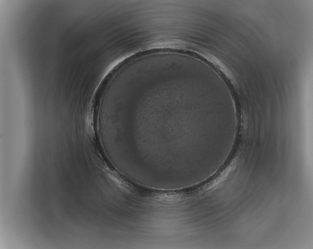 X0000112350830200908271231