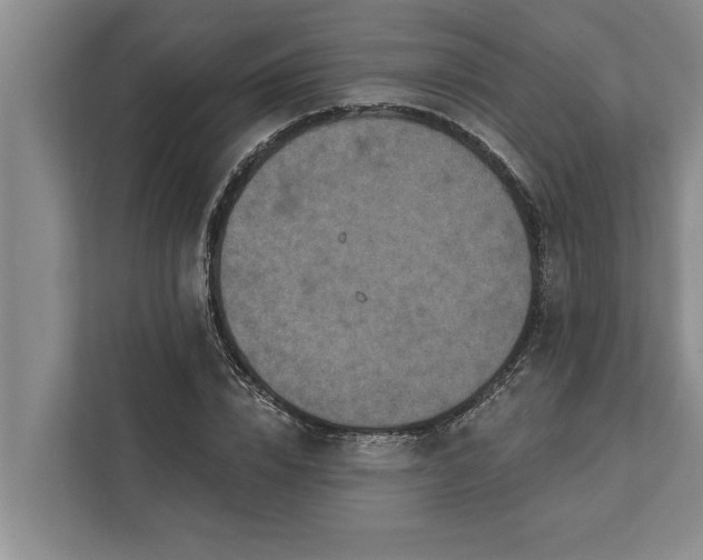 X0000112350832200908271231