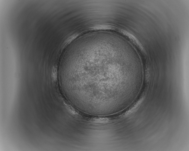 X0000112350833200908271231