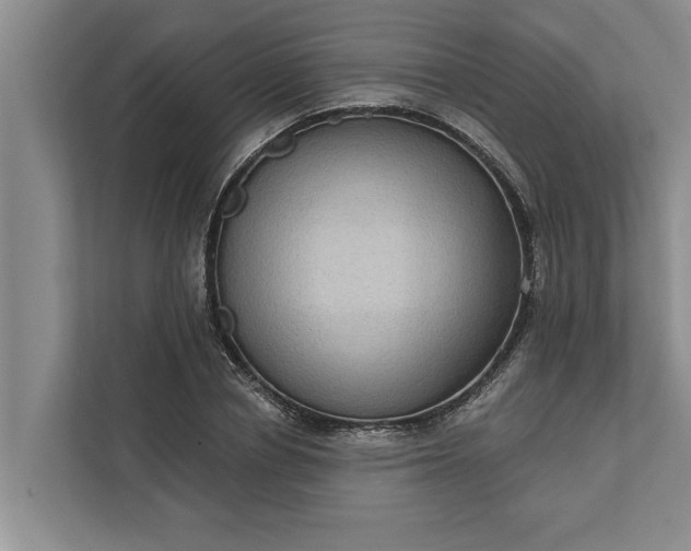 X0000112350834200908271231