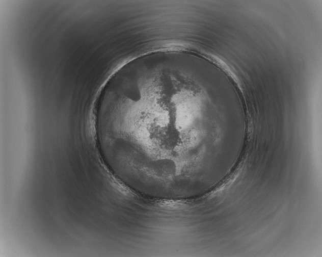 X0000112350835200908271231