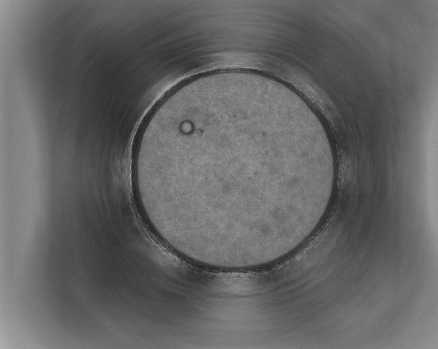 X0000112350836200908271231