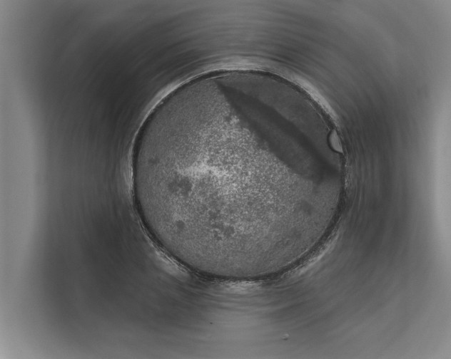 X0000112350837200908271231