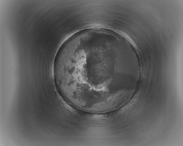 X0000112350839200908271231