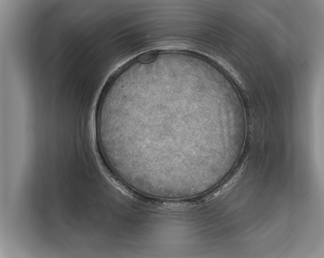 X0000112350840200908271231