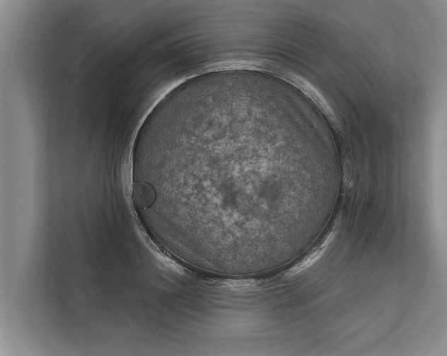 X0000112350844200908271231