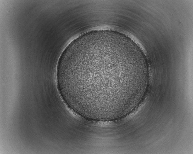 X0000112350845200908271231