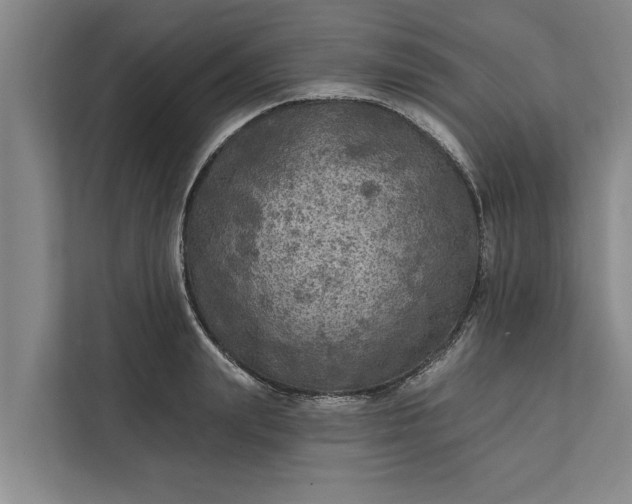 X0000112350847200908271231