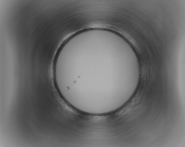 X0000112350848200908271231