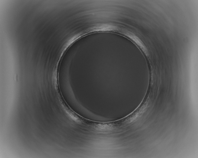 X0000112350850200908271231