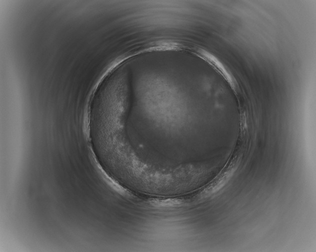 X0000112350851200908271231