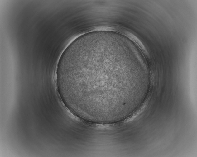 X0000112350852200908271231