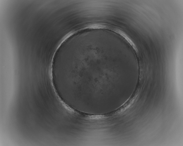 X0000112350853200908271231