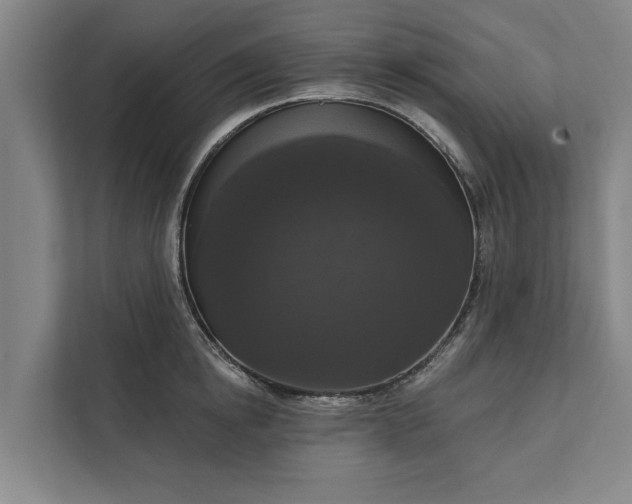 X0000112350854200908271231