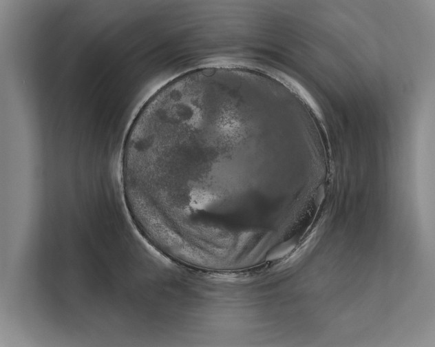 X0000112350855200908271231