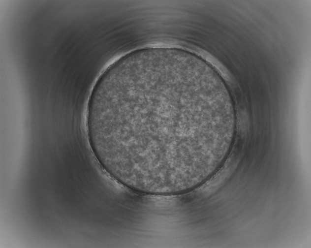 X0000112350856200908271231