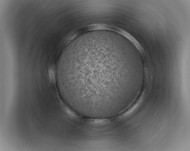 X0000112350857200908271231