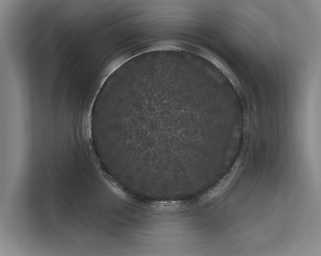 X0000112350858200908271231