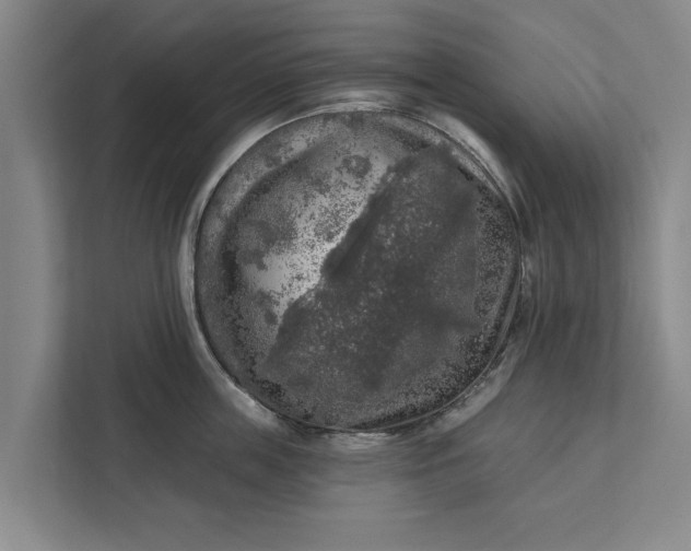 X0000112350859200908271231