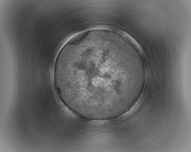 X0000112350860200908271231