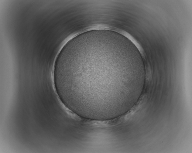 X0000112350861200908271231