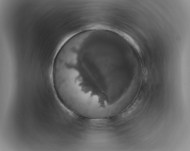 X0000112350863200908271231