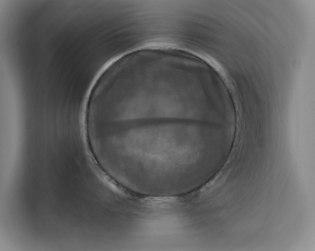 X0000112350864200908271231