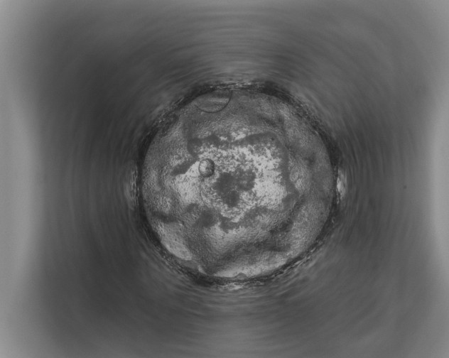 X0000112350867200908271231