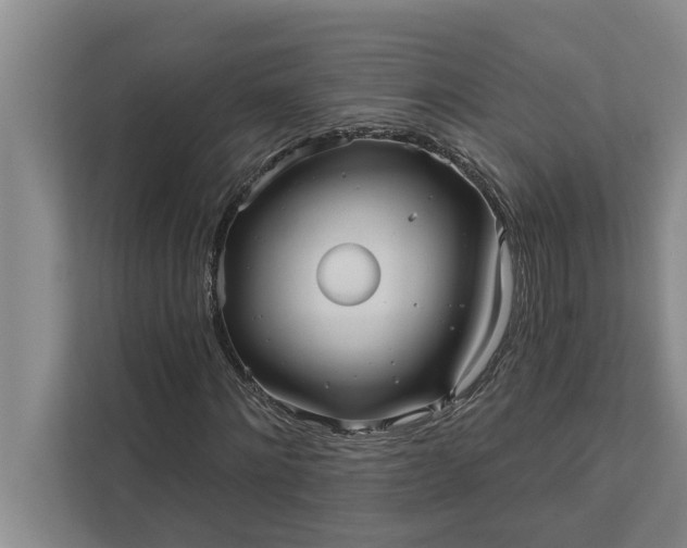 X0000112350868200908271231