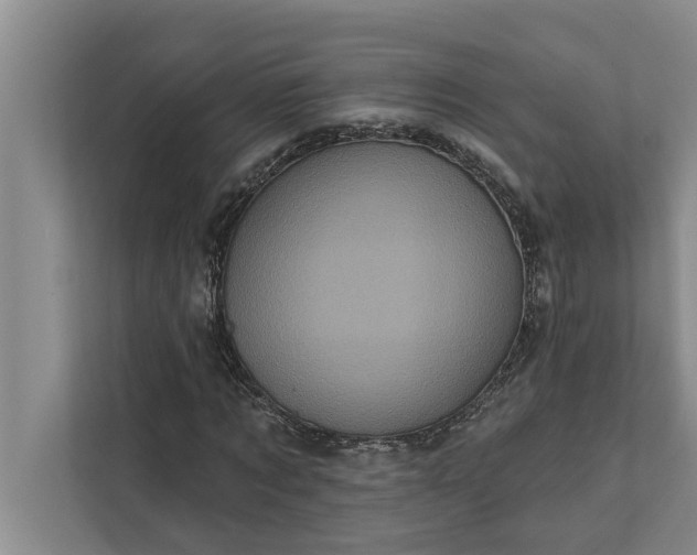 X0000112350869200908271231