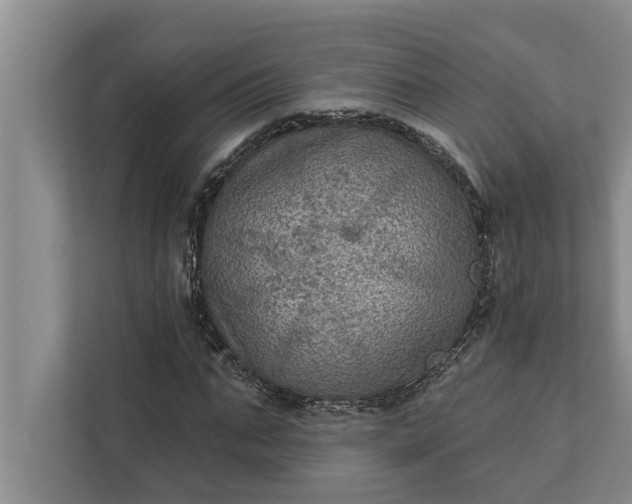 X0000112350871200908271231