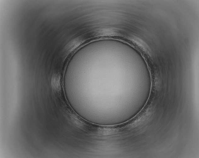 X0000112350873200908271231