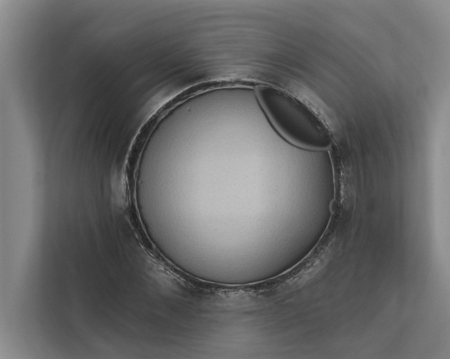 X0000112350876200908271231