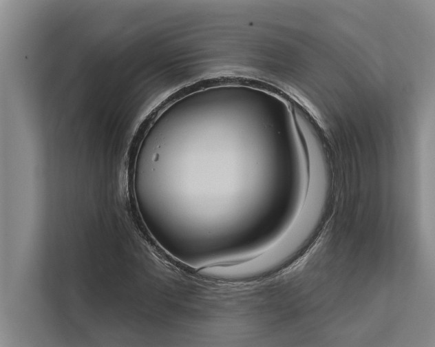 X0000112350877200908271231