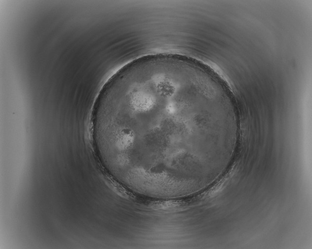 X0000112350879200908271231