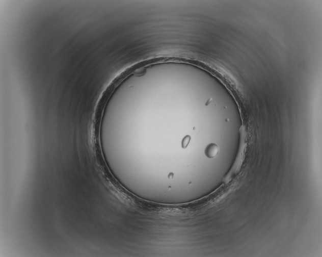 X0000112350880200908271231