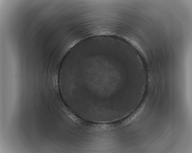 X0000112350881200908271231