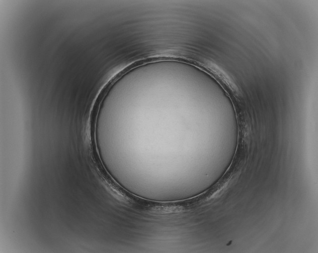 X0000112350884200908271231