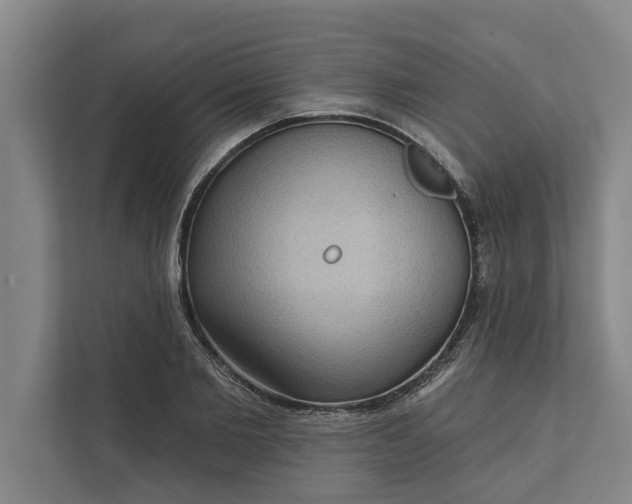 X0000112350885200908271231