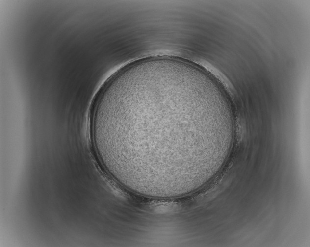 X0000112350886200908271231