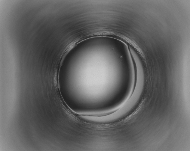 X0000112350889200908271231